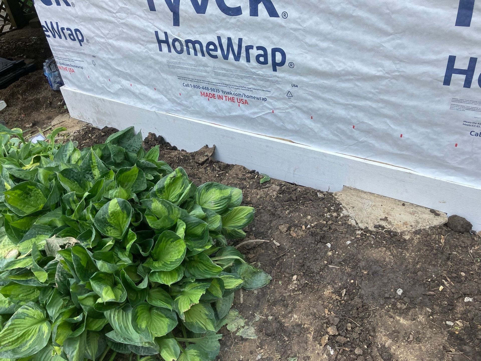 Green leafy plant beside a dirt patch and a house wrapped in Tyvek HomeWrap