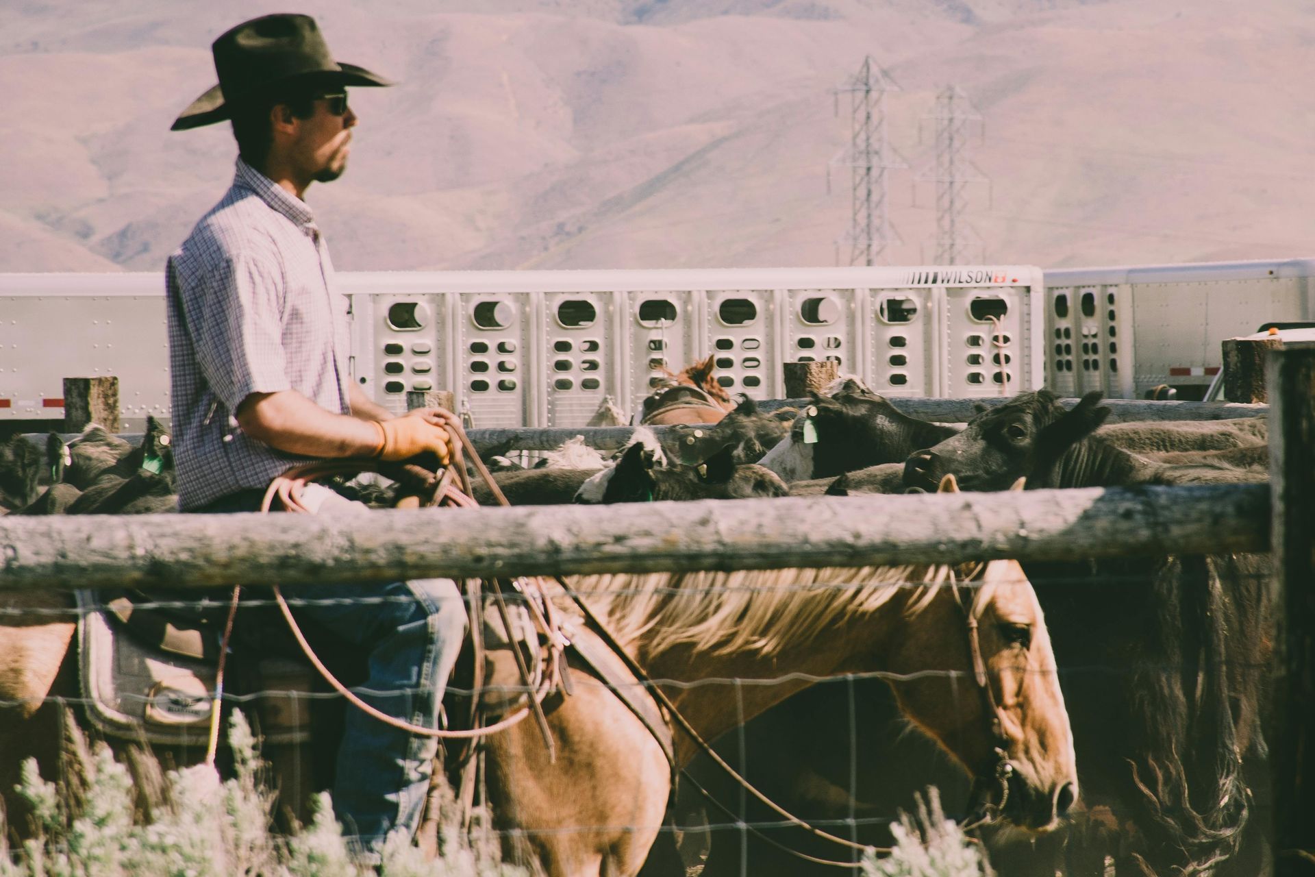 Ranch Insurance