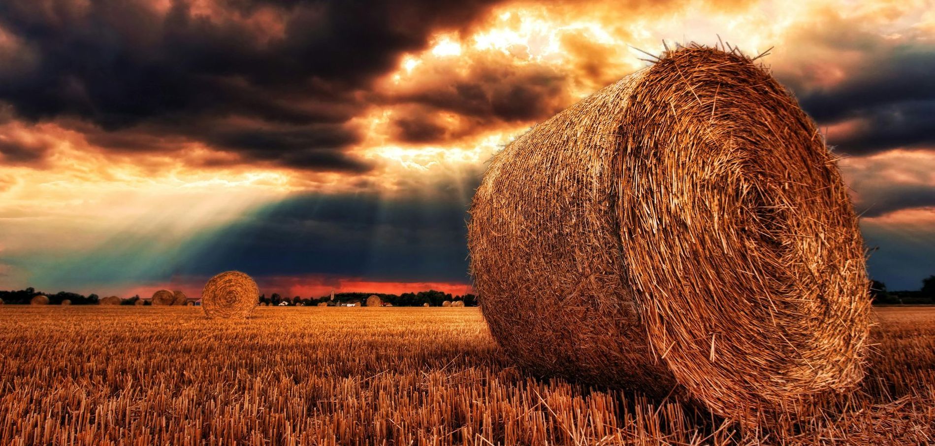 Farm Liability Insurance