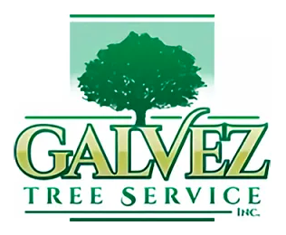 Logo for Galvez Tree Service: Green tree over the word