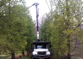 Truck-mounted crane working among trees in a wooded area