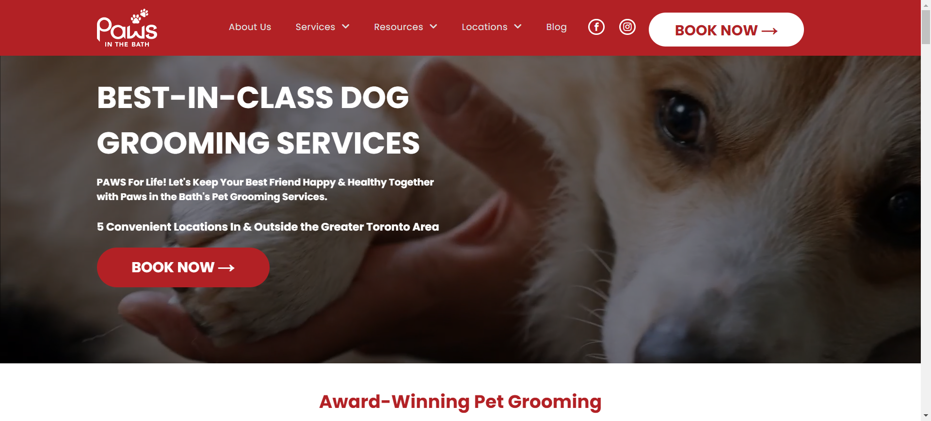 A website for best-in-class dog grooming services