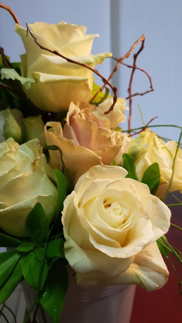 Bouquet composto da un assortimento di rose giallo pallido e crema con foglie verdi.