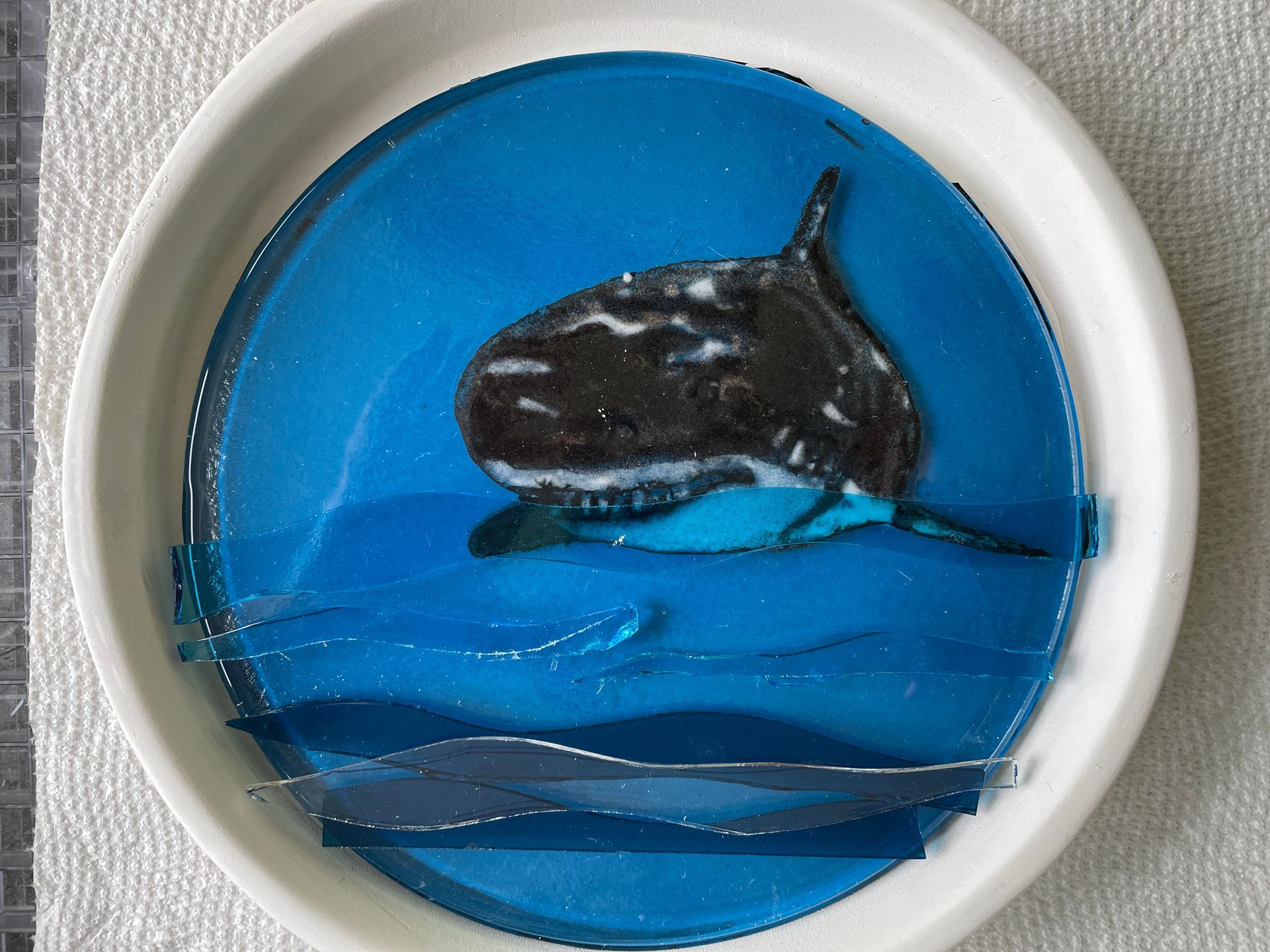 swimming shark setup in kiln