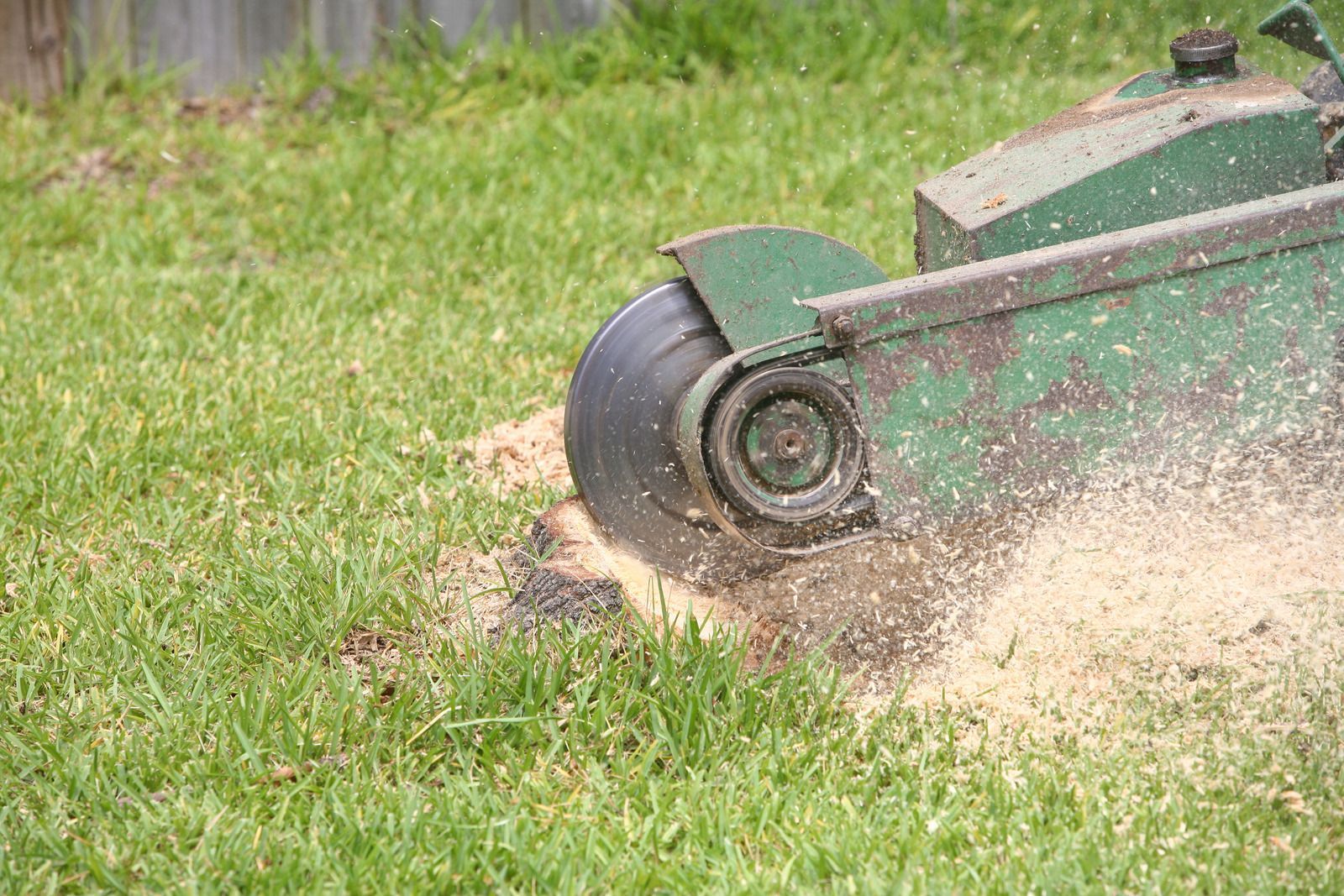Green stump grinder pulverizing a tree stump into wood chips on a grassy lawn.
