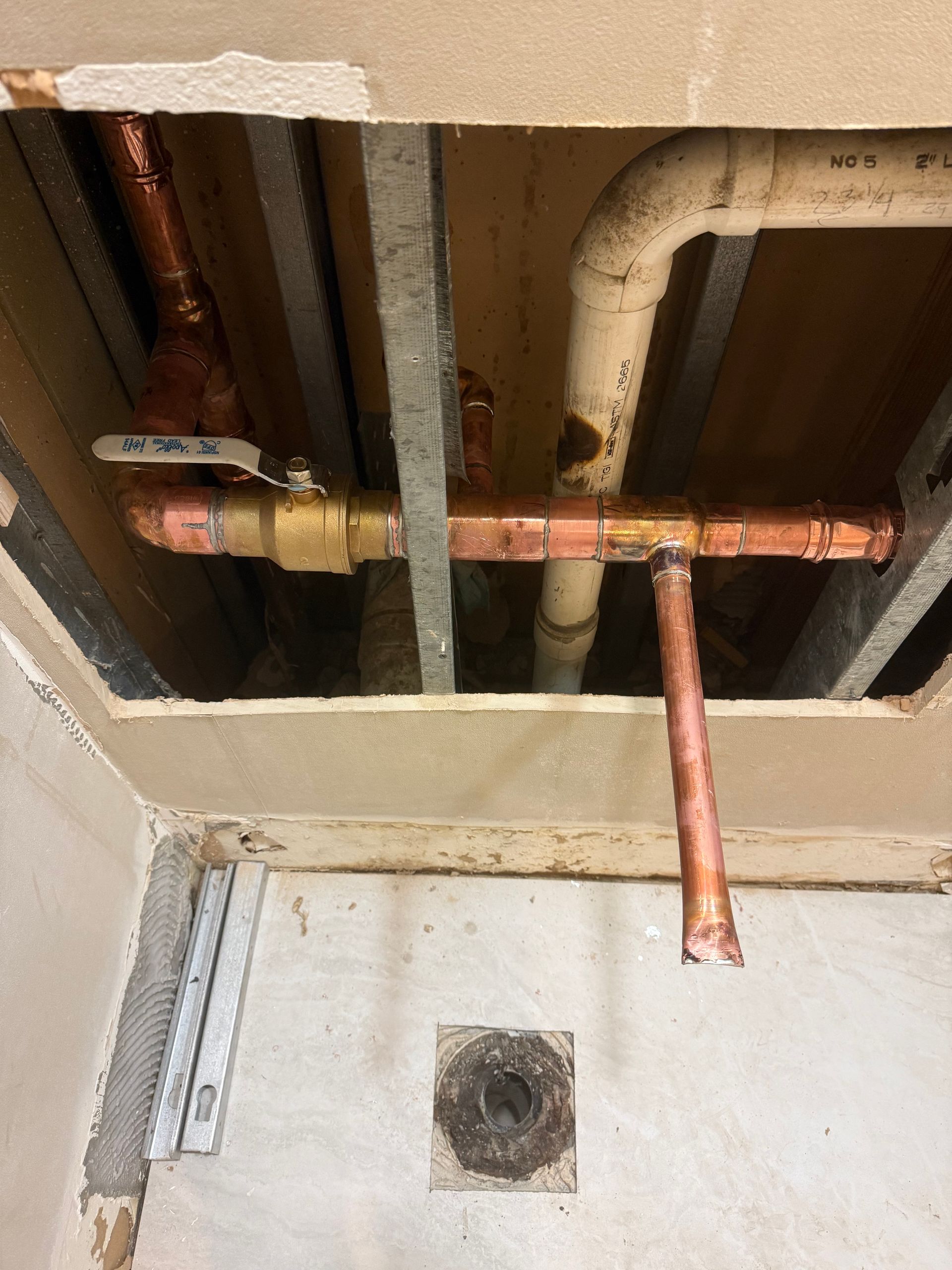 local plumber