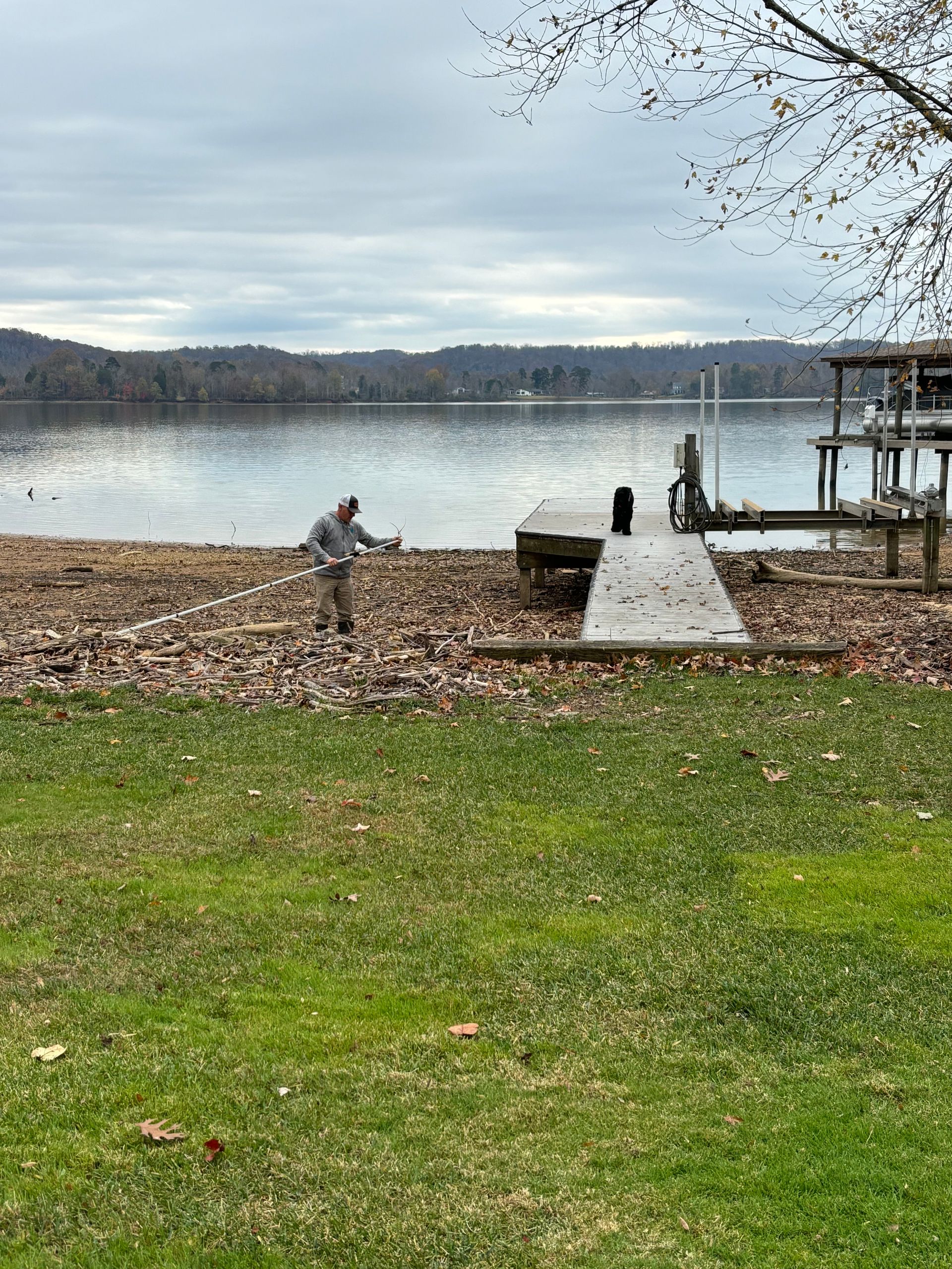 A man is raking leaves on the shore of a lake.