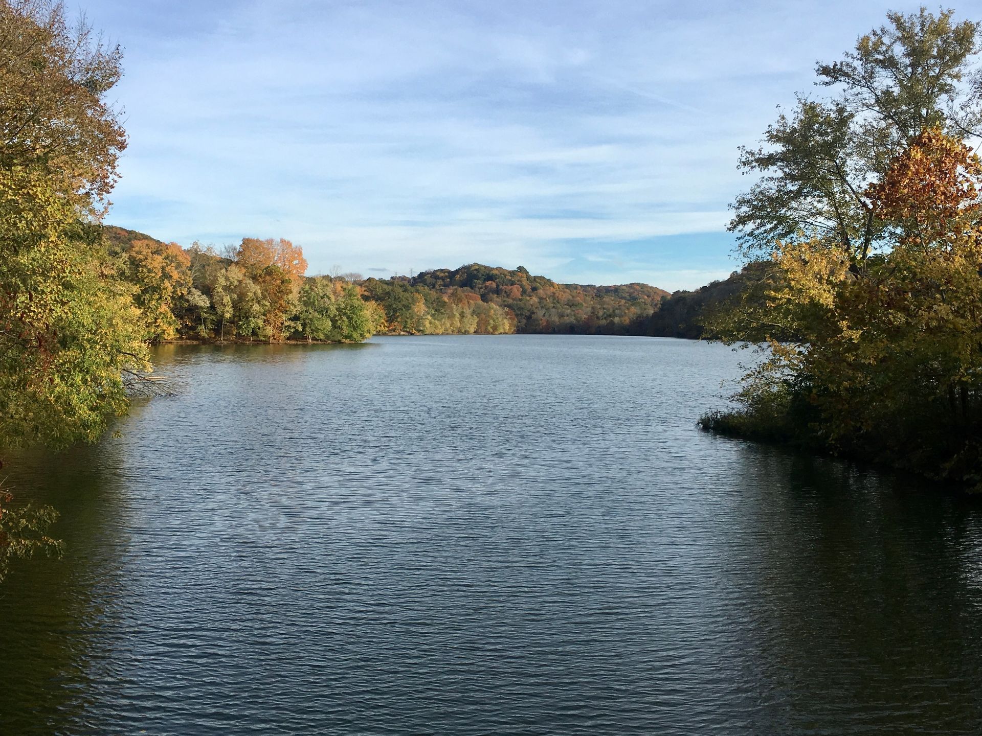 A large body of water surrounded by trees on a sunny day.