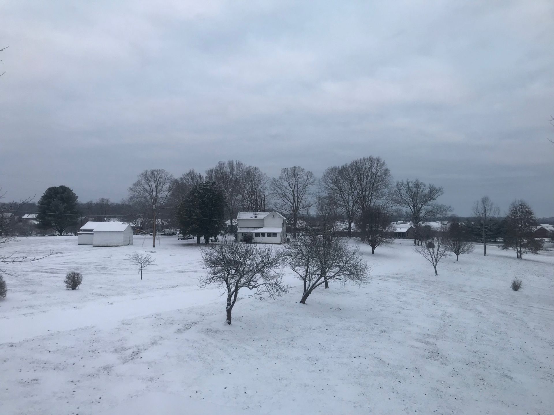 A snowy field with trees and a house in the background