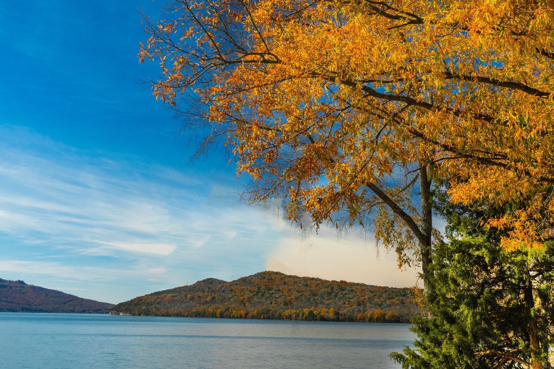 A lake with mountains in the background and a tree in the foreground.