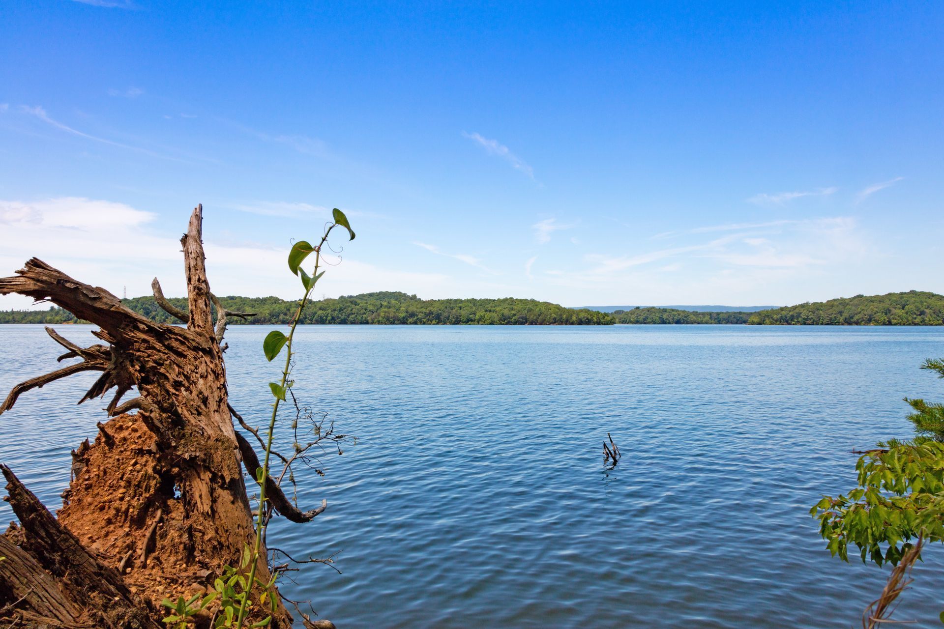 A large body of water with a tree stump in the foreground.