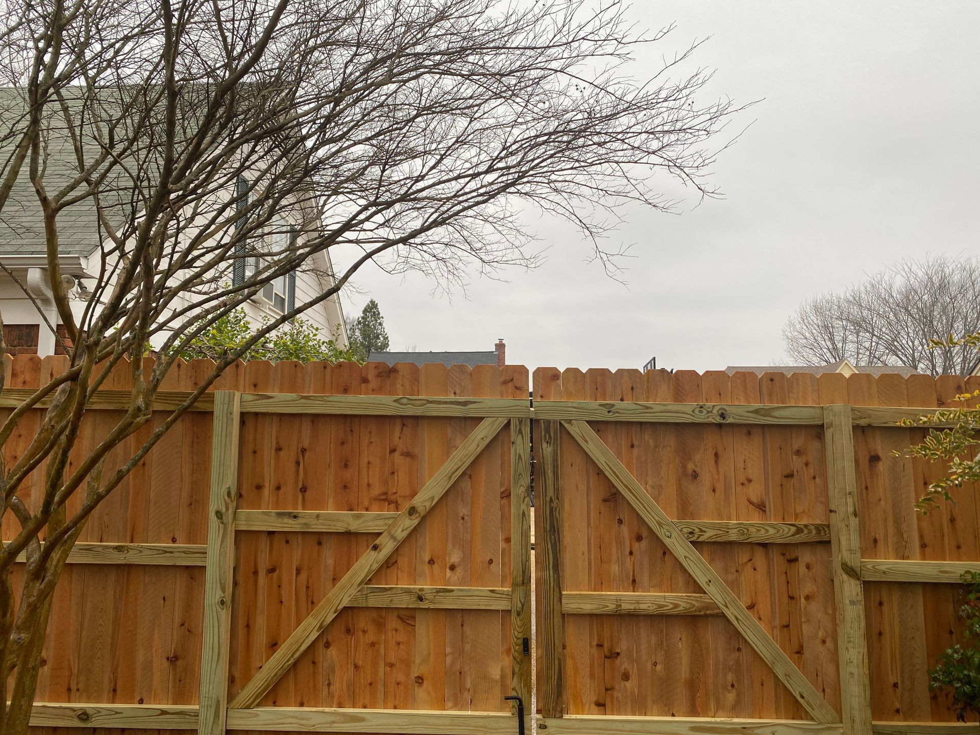 Cedar fence