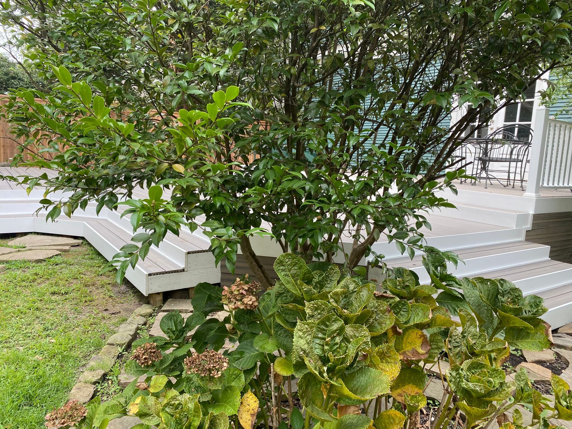 Composite Deck