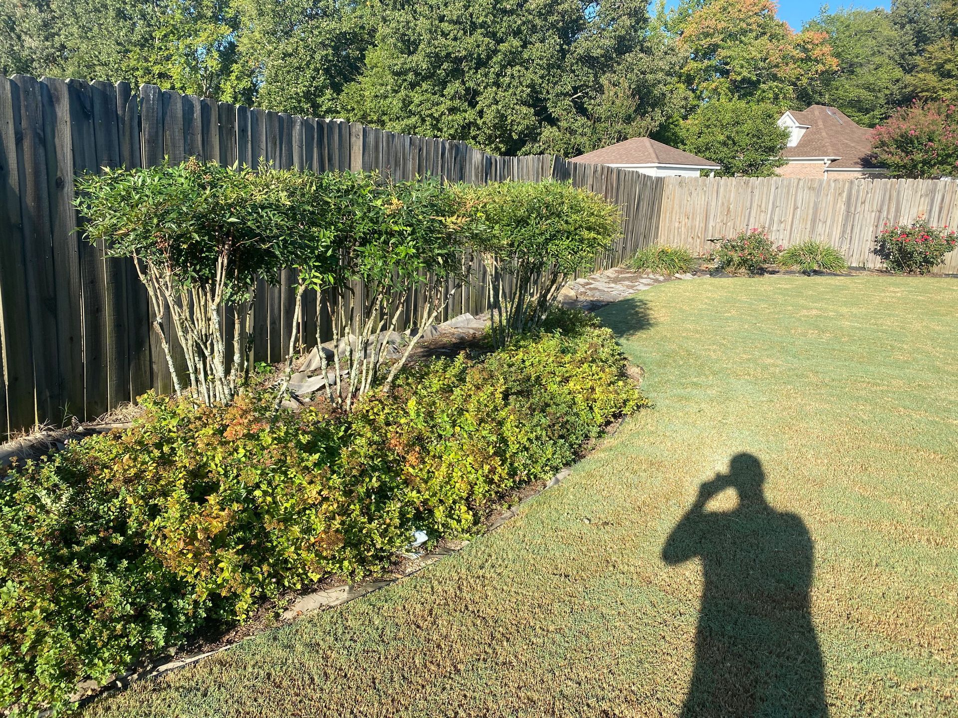 Before fence replacement