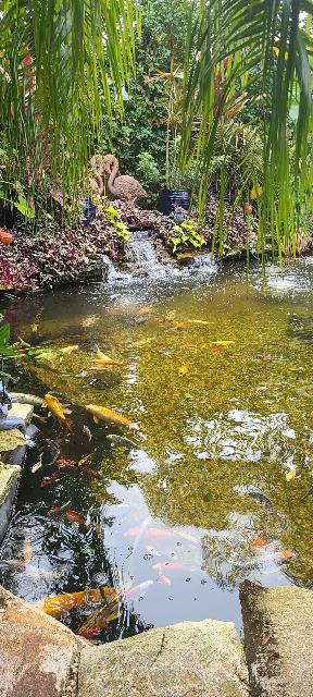 Pond Less Waterfall — Jacksonville, FL — K & R Pond Care Inc Pond Less Waterfall — Jacksonville, FL — K & R Pond Care Inc