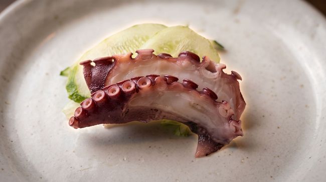 Grilled octopus tentacle on a pale plate with a light green garnish