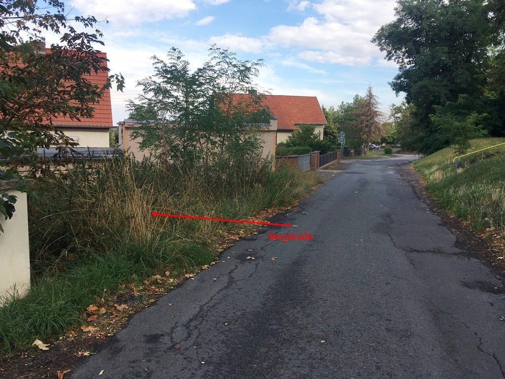Ruhige Wohnstraße mit Häusern, Bäumen und einem teilweise bewölkten Himmel.