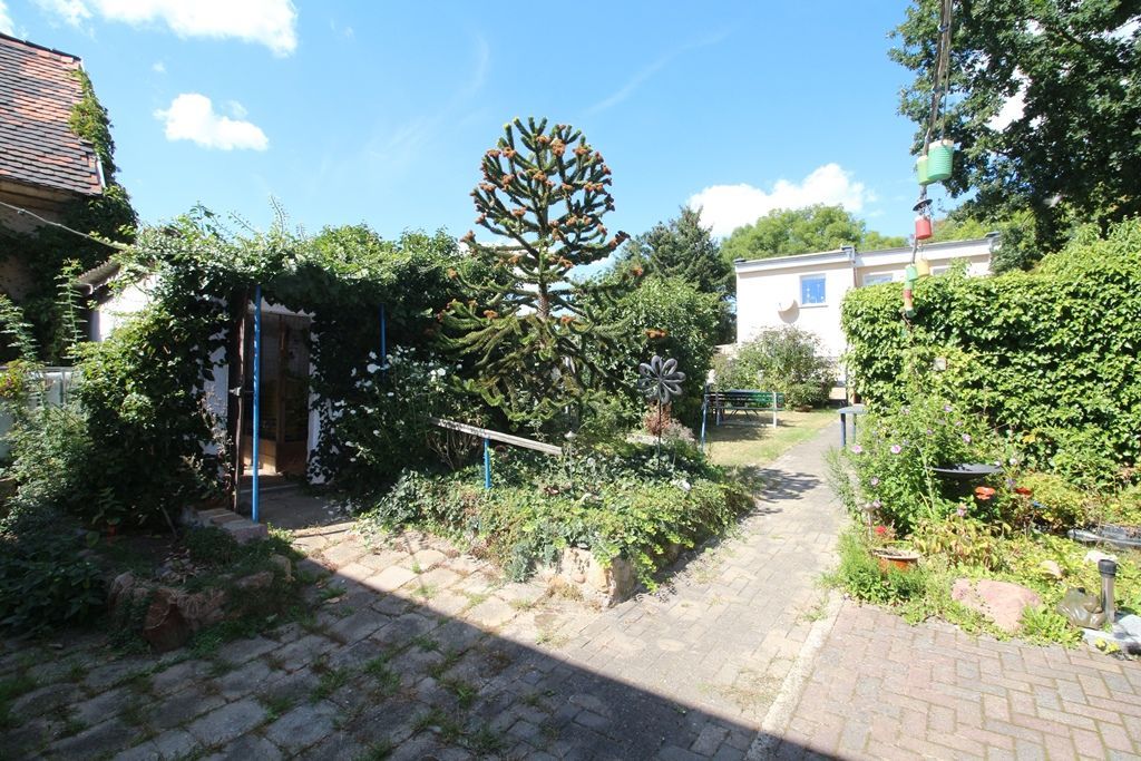 Sonniger Gartenhof mit Bäumen, Sträuchern, Steinwegen und einem Haus im Hintergrund