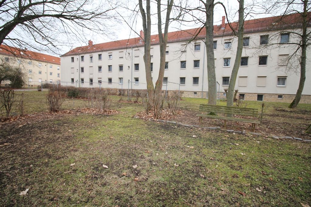 Verlassenes weißes Wohnhaus hinter kahlen Bäumen und hohem Gras unter einem bedeckten Himmel