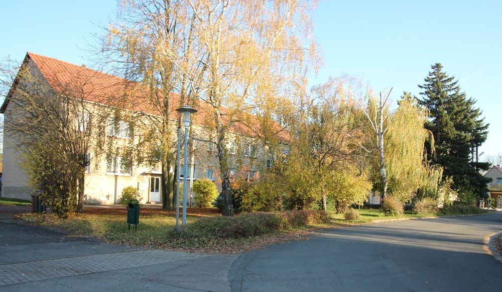 Ruhige Vorstadtstraße mit Häusern, Herbstbäumen und warmem Sonnenlicht.