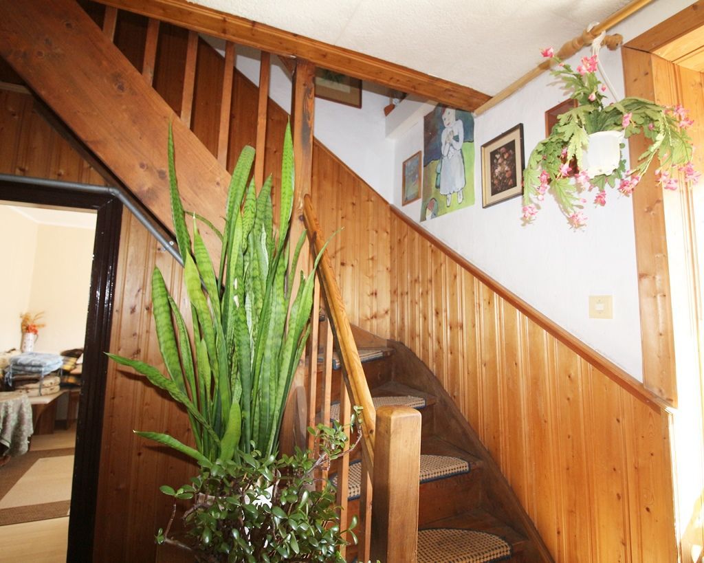 Holztreppe mit Topfpflanzen und gerahmten Wandbildern in einem hellen Eingangsbereich