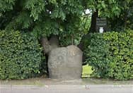 Steinskulptur, die teilweise von dichten grünen Büschen entlang eines Gehwegs verdeckt wird