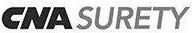 The word surety is written in black on a white background