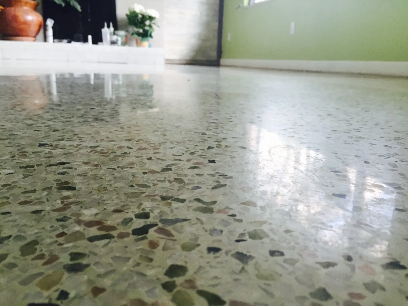 Shiny terrazzo floor reflecting light in a sparse room with a green wall and potted plants.