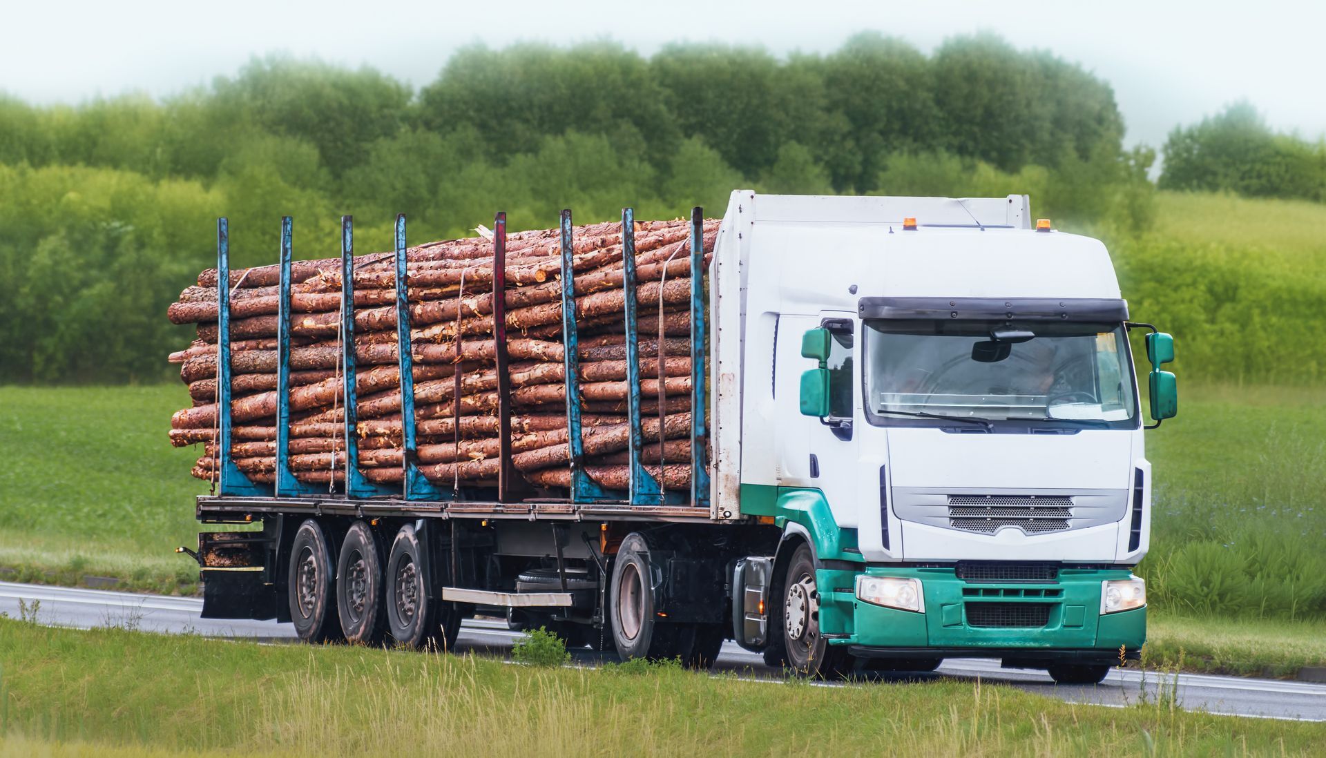A white semi-truck carrying a large load of logs drives along a rural road against a background of green trees and grass.