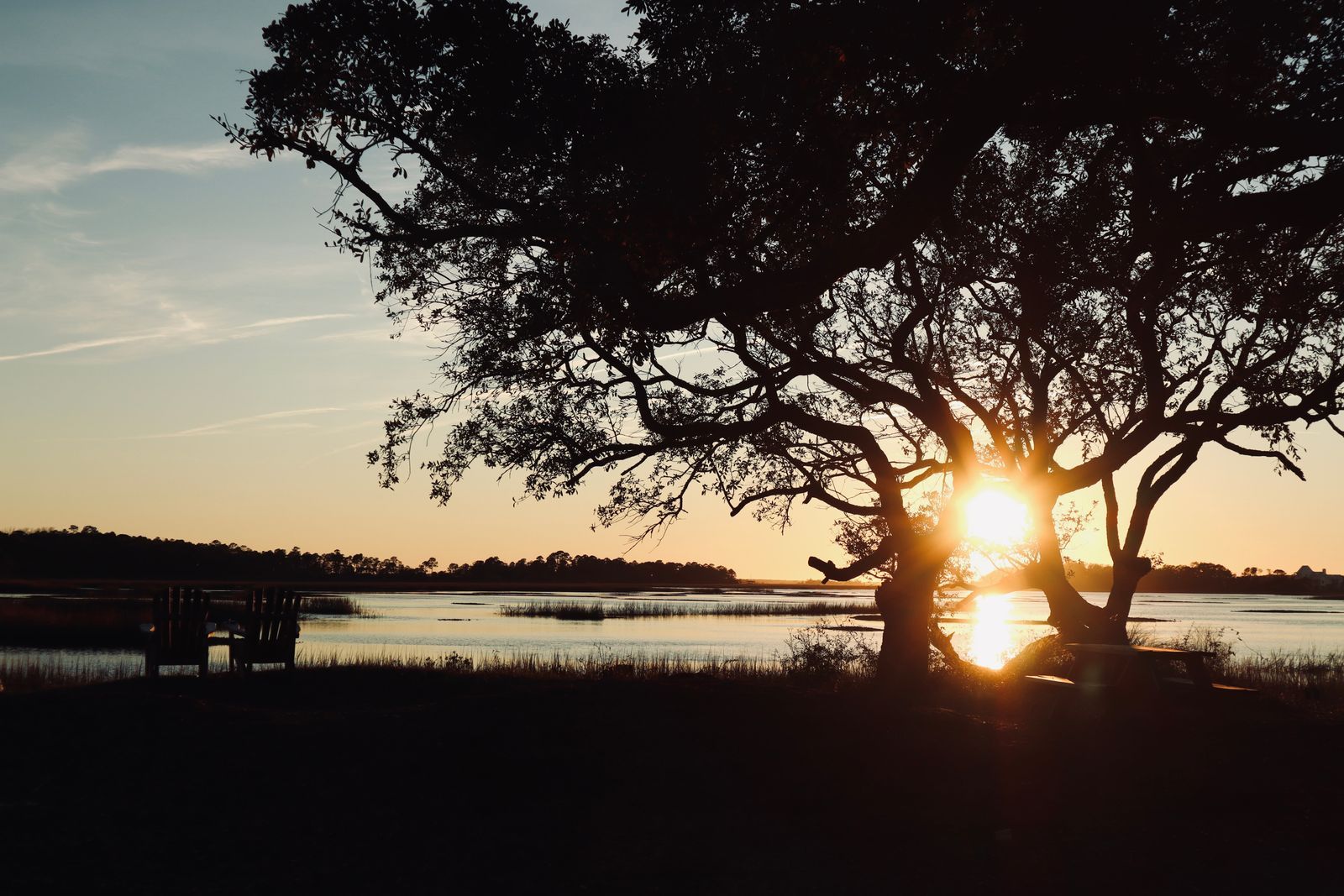 Sunset over a lake framed by a silhouetted tree, with warm light reflecting on the water.