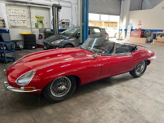 jaguar rossa