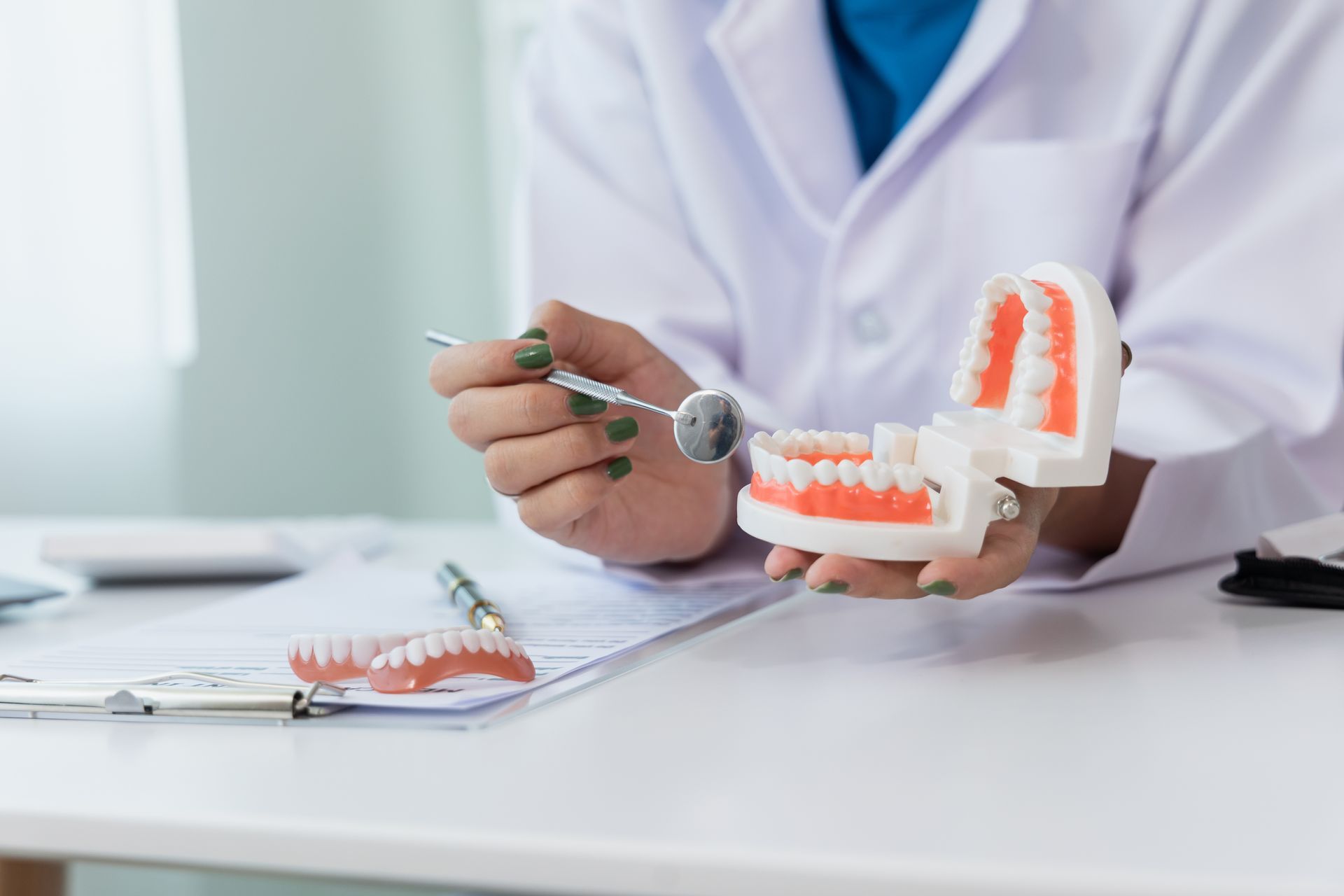 Dentist demonstrating dental care on a model jaw with tools in a bright clinic office
