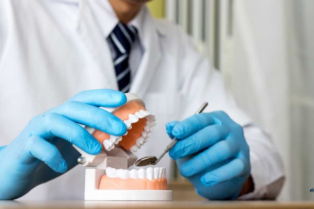 Blue-gloved hands handling a dental model with braces on a desk