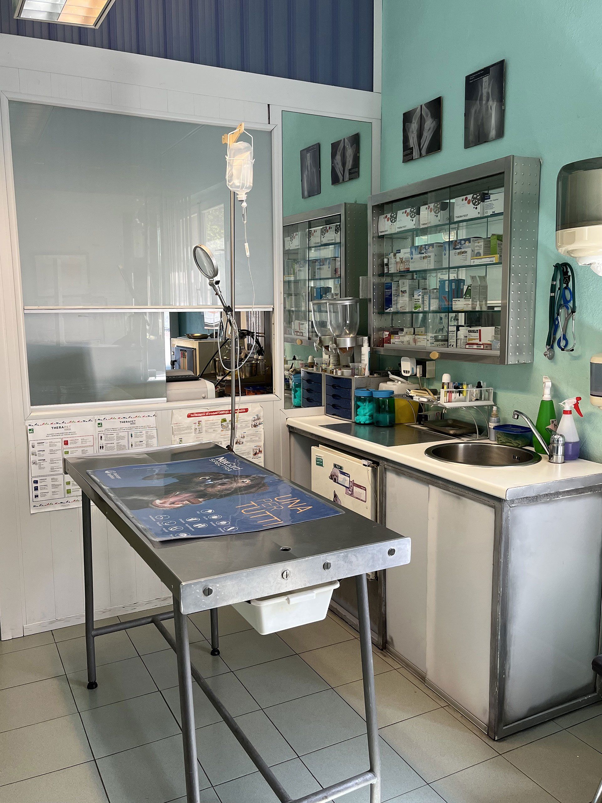 Ambulatorio veterinario dr. Mauro Quattrini Arcidosso