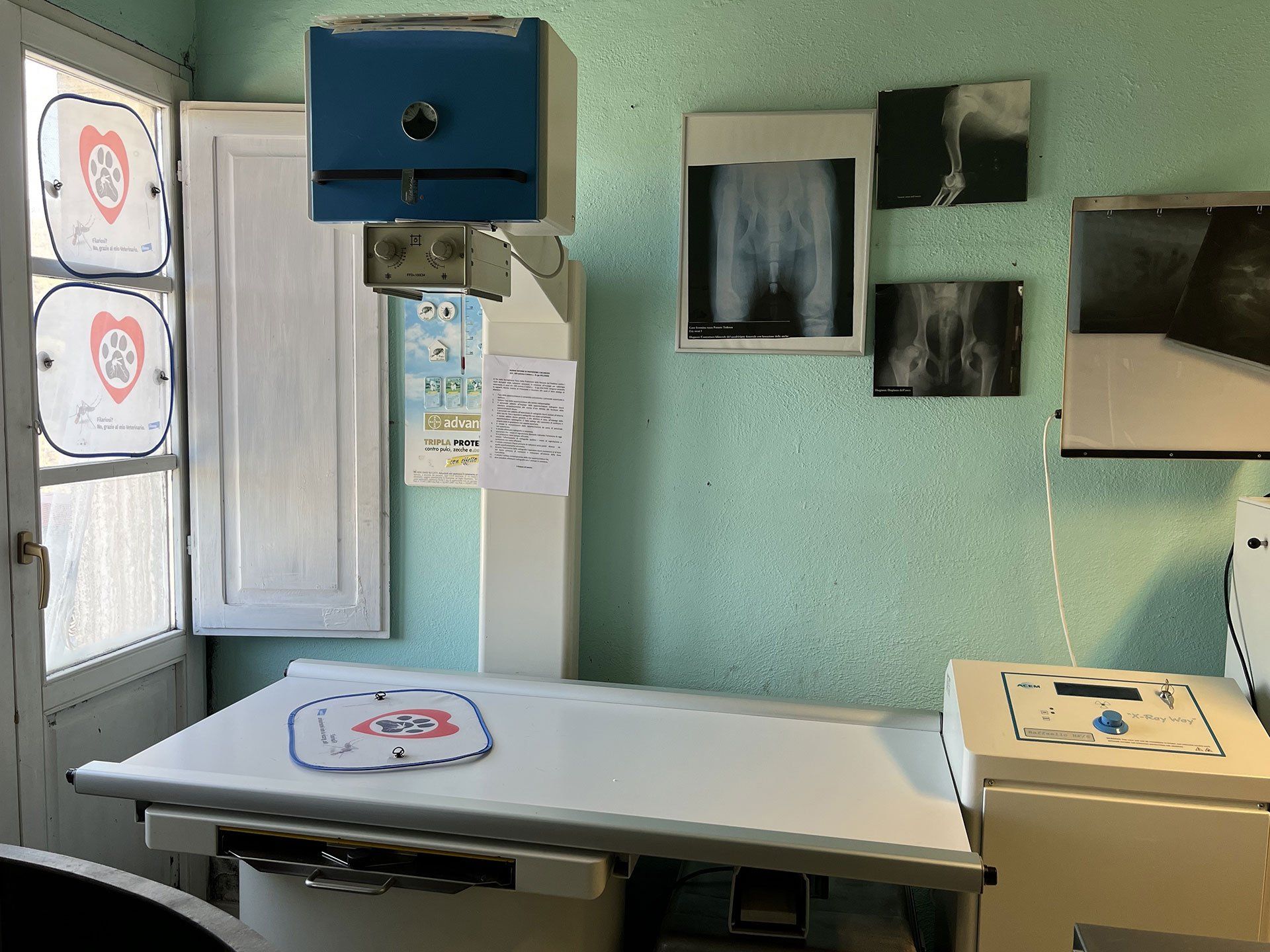 Ambulatorio veterinario dr. Mauro Quattrini Arcidosso
