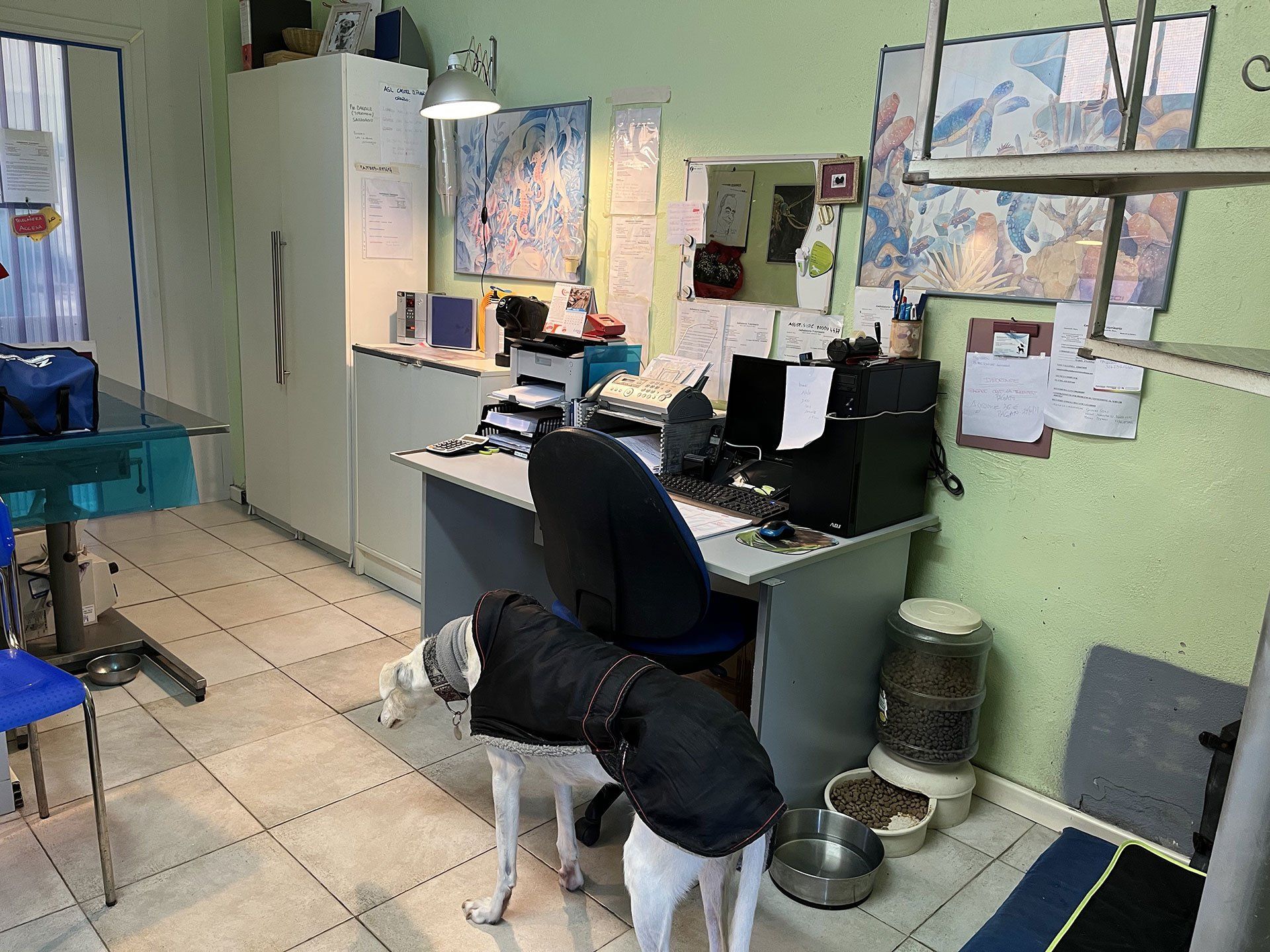 Ambulatorio veterinario dr. Mauro Quattrini Arcidosso
