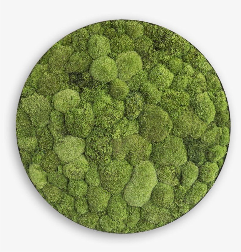 Pole Moss
