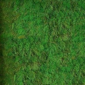 Pole Moss