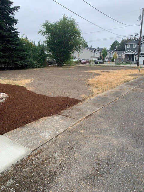 Empty lot with brown mulch, dry grass, a tree, and houses.