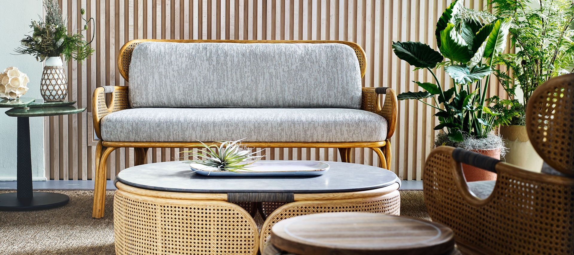 A living room with a couch , chair , coffee table and plants.