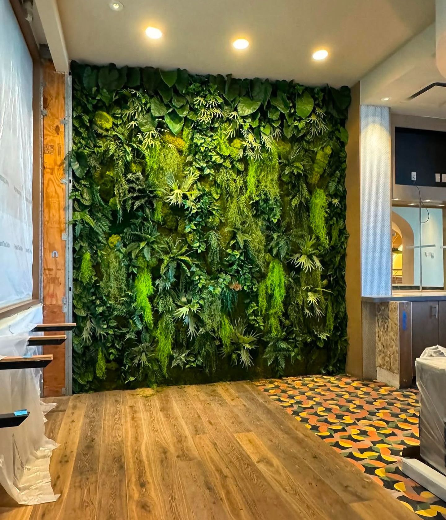 A room with a large green wall and a wooden floor