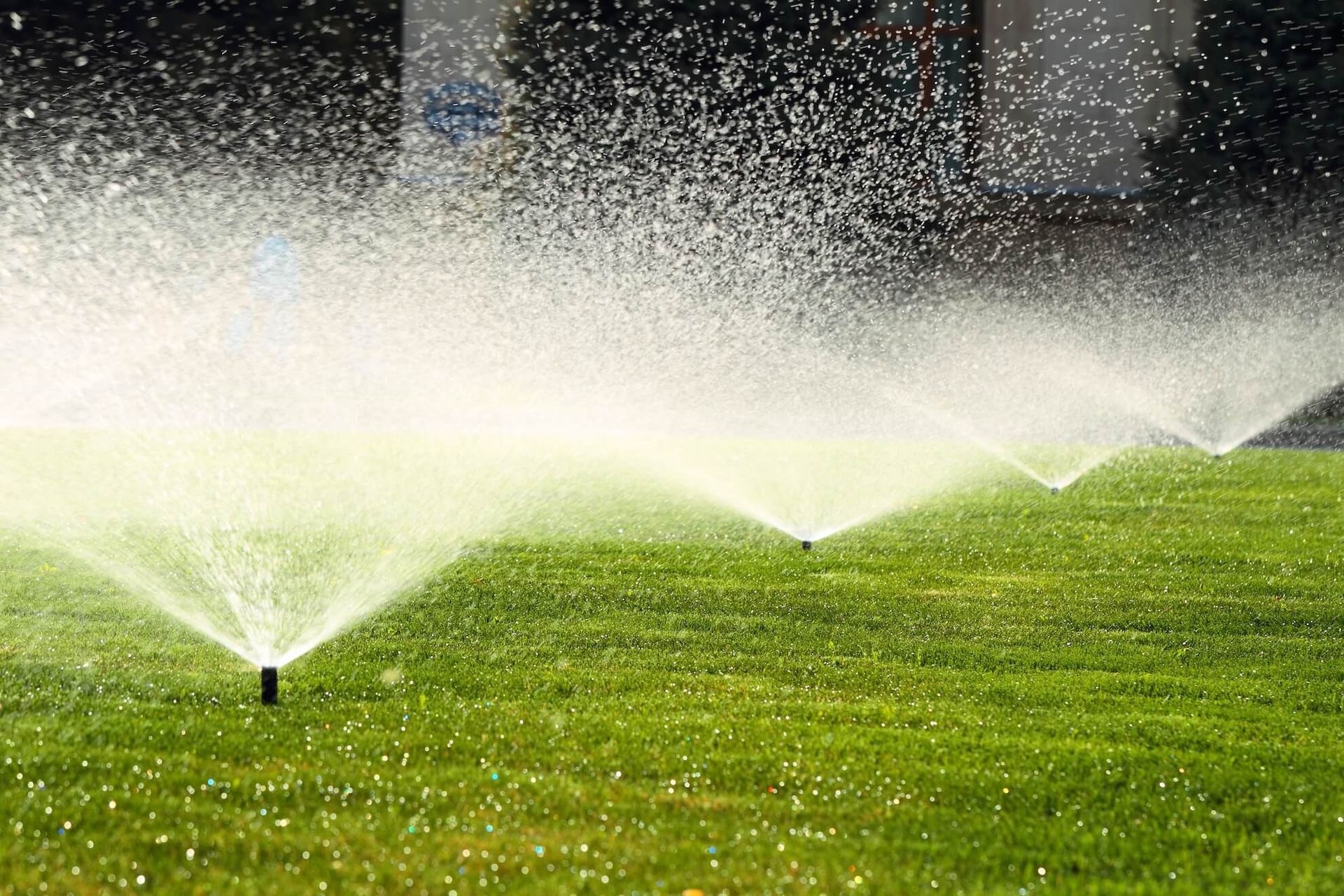 A row of sprinklers spraying water on a lush green lawn.
