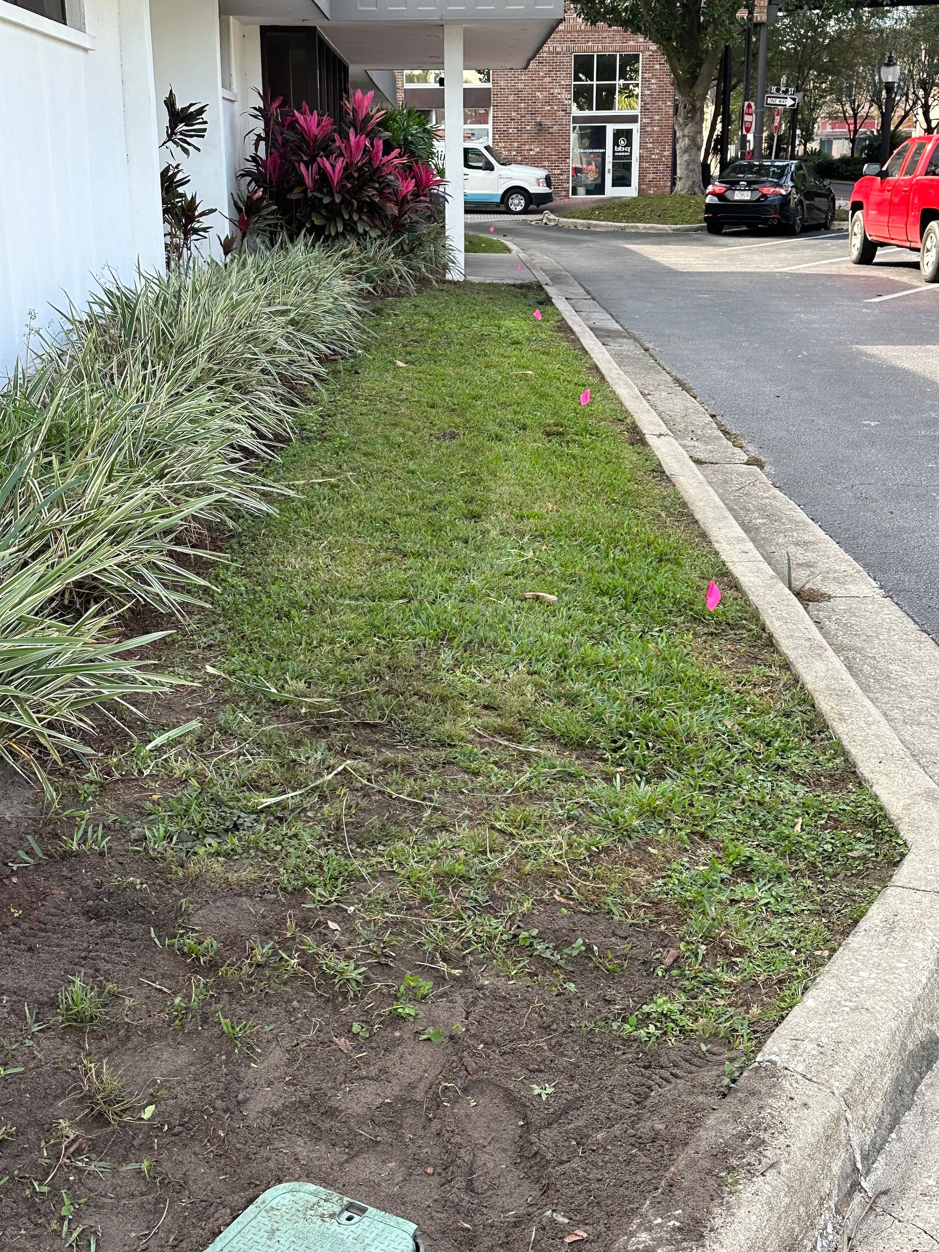 A lawn with a lot of grass and flowers in front of a house.