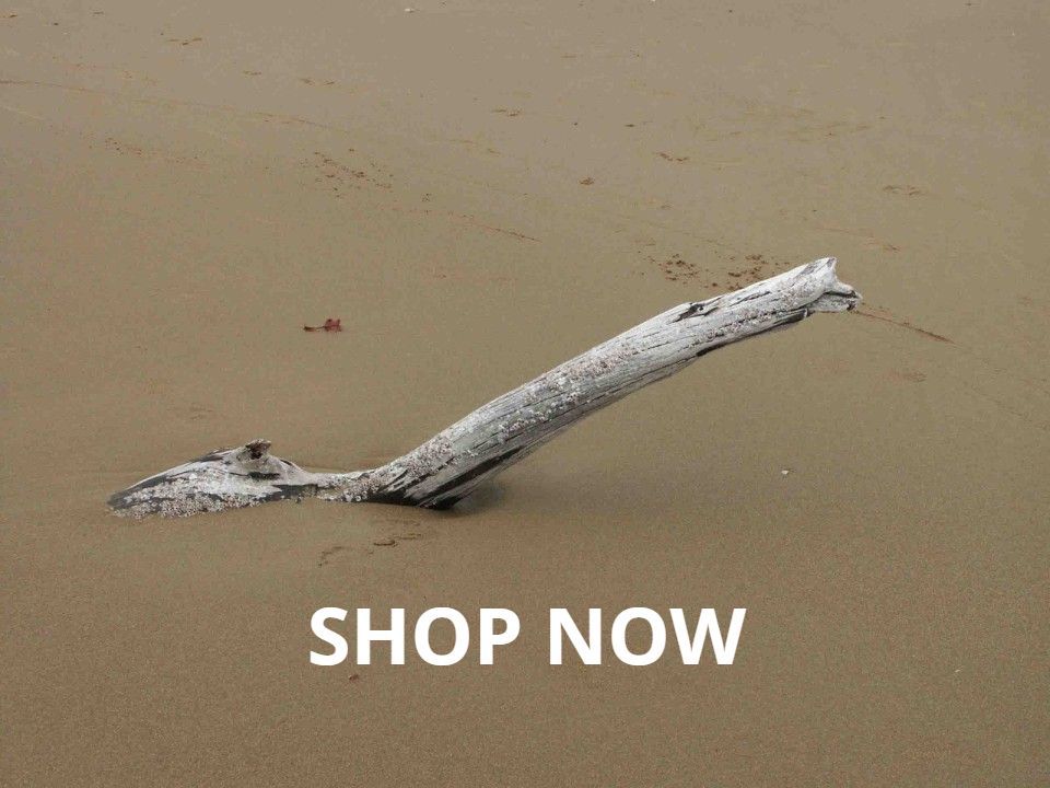 The-Haven-Gallery-Macleay-Island#5