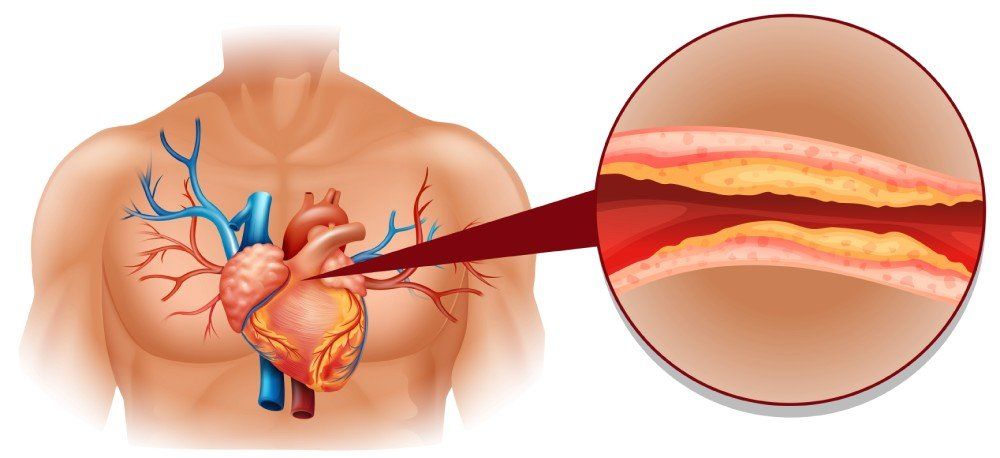 illustrazione con dettaglio del cuore umano