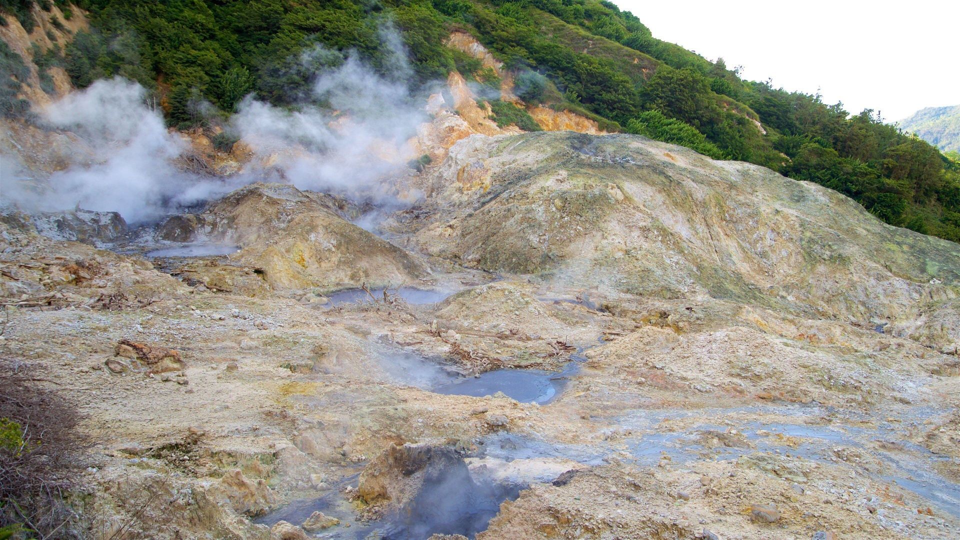 Steam rising from a rocky, beige hillside with green vegetation along the top