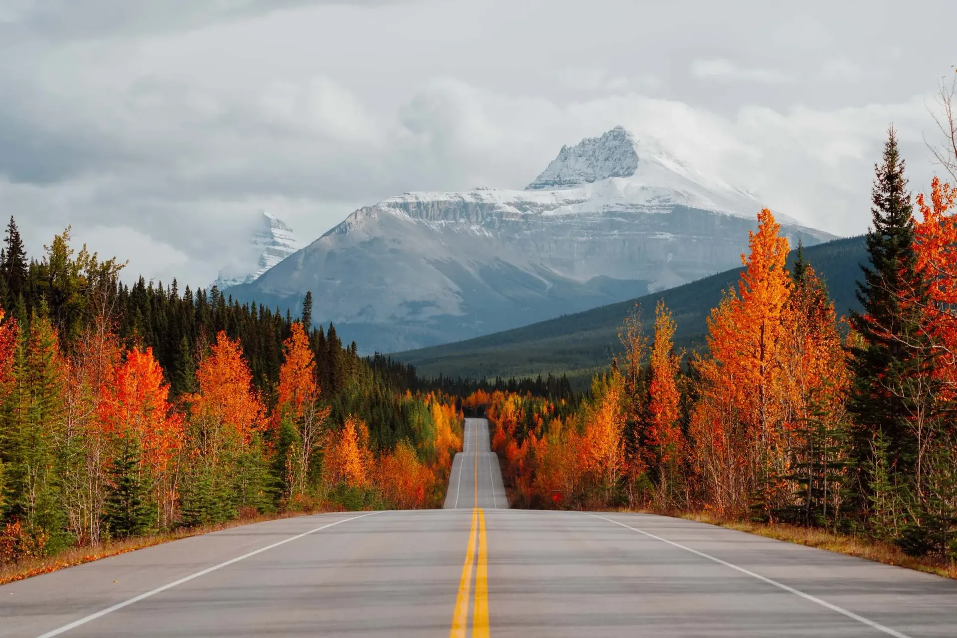 Autumn trees lining an empty road toward snow-capped mountains under a cloudy sky