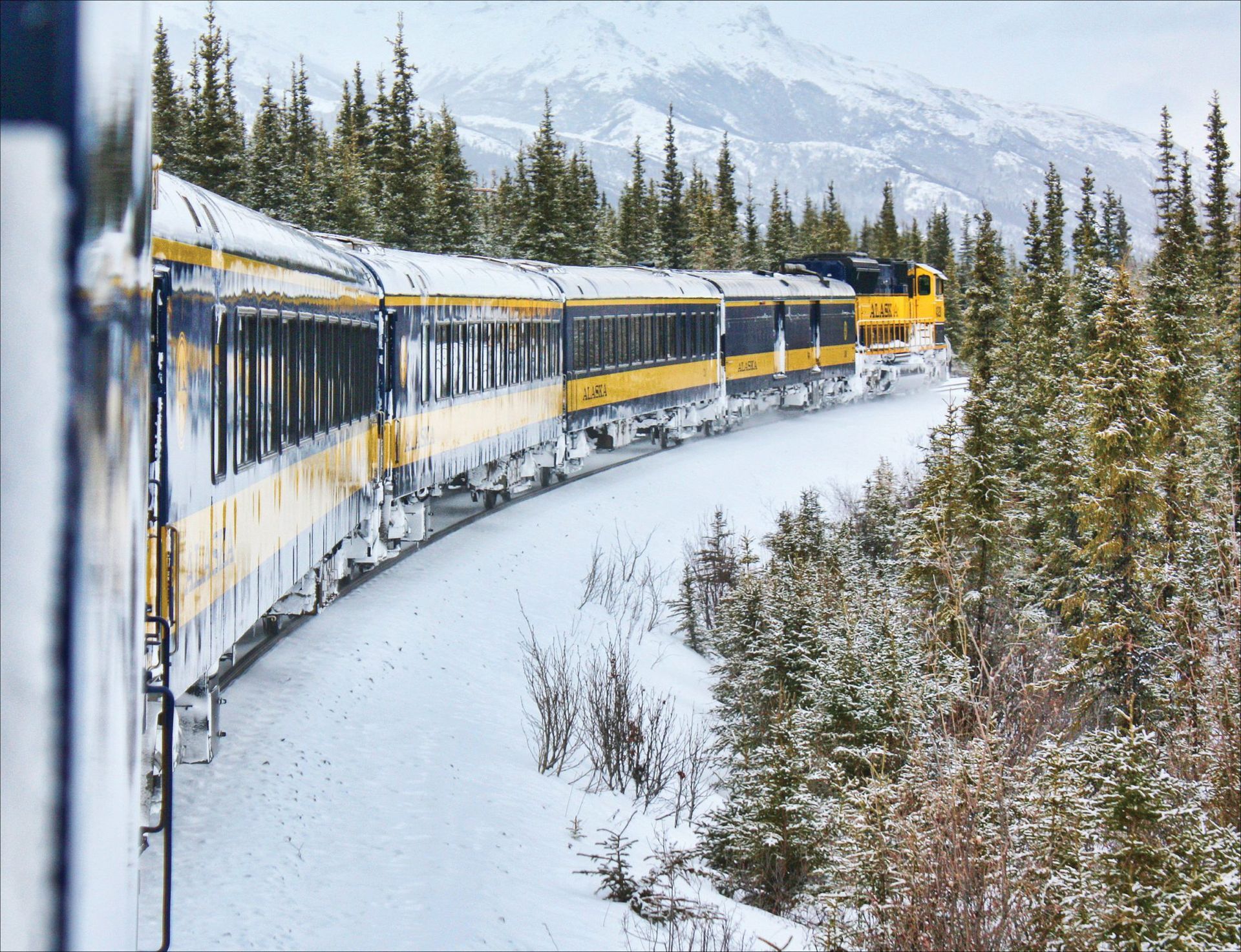 Yellow train curving through a snowy forest with mountains in the background