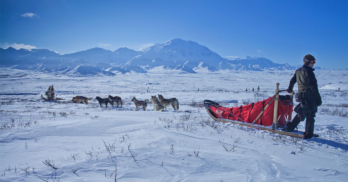 Dog sled team pulling a red sled across snowy mountains with a person standing beside it