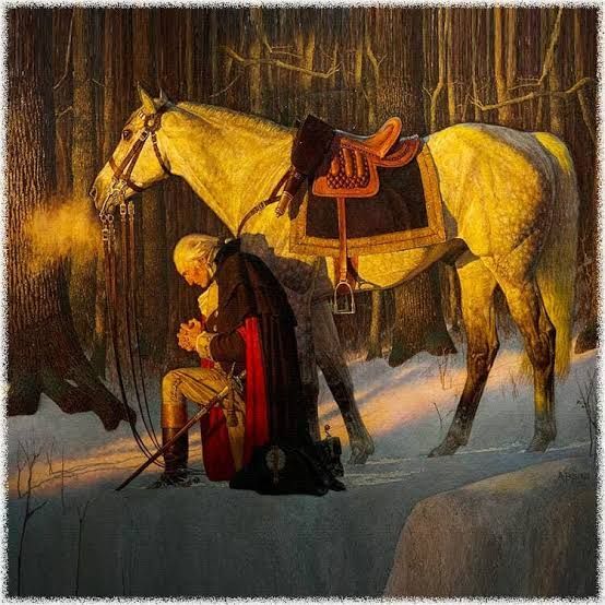Person kneels by a white horse in a snowy forest at dusk, with warm light glowing in the background.
